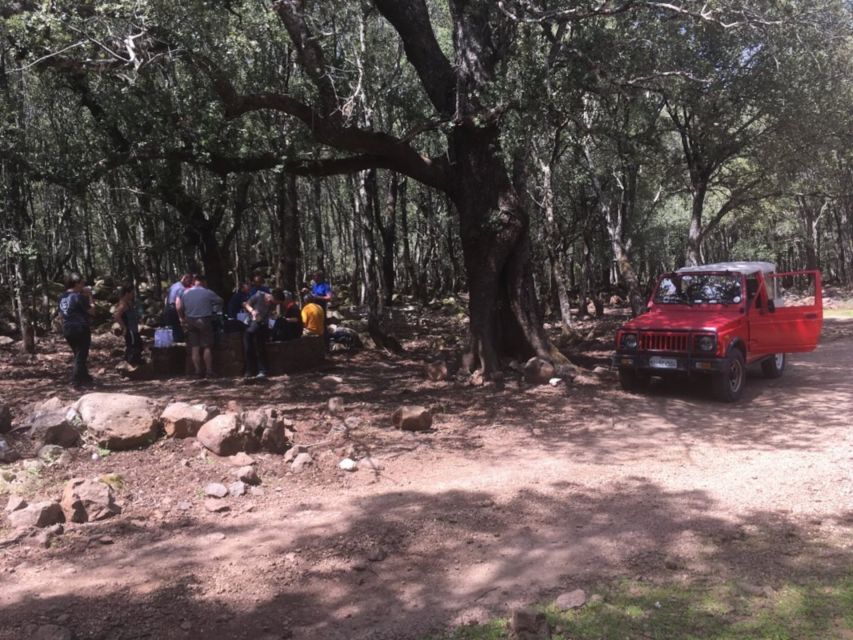 Dorgali: Supramonte Full-day Jeep Off-Roading & Hiking Tour - Restrictions and Requirements