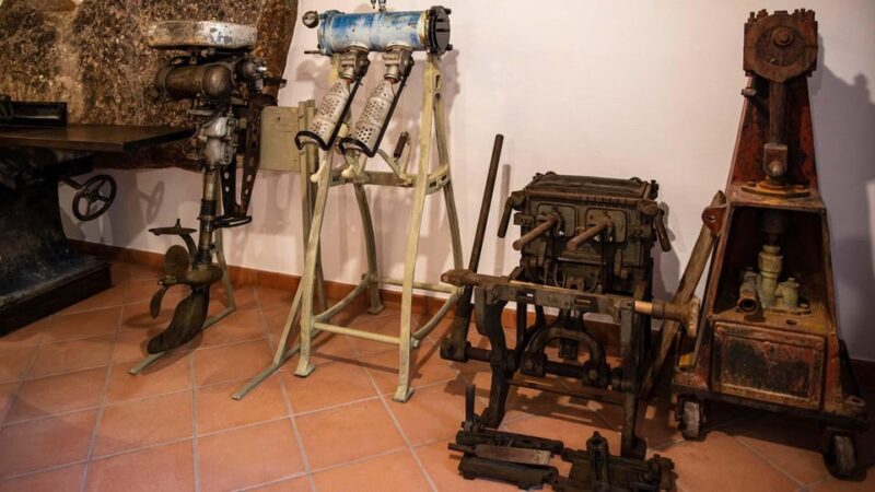 Dorgali: Visit S'Abba Frisca Park Museum - Experience Highlights