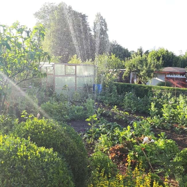 Dortmund: Allotment Garden Tour - Key Points