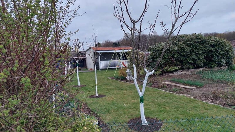 Dortmund: Allotment Garden Tour - An In-Depth Look at the Dortmund Allotment Garden Tour