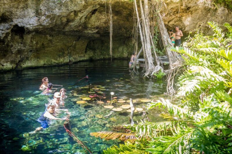 Dos Cenotes Adventure: Swim, Explore & Taste - Key Points