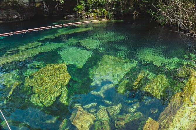 Dos Cenotes and Restaurant Lunch Private Adventure - FAQ