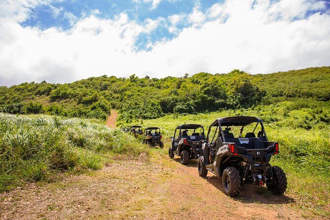 Dos Mares and Rainforest UTV Adventure Tour in Fajardo - Final Thoughts: Who Should Book?