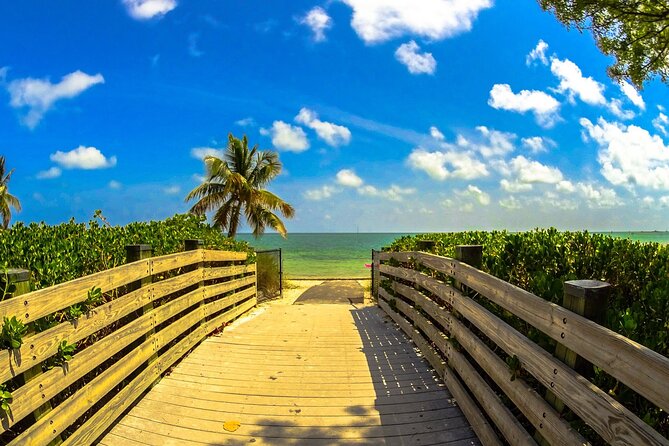 Double Decker Sightseeing Bus Tour of Miami in English & Spanish - Things To Known