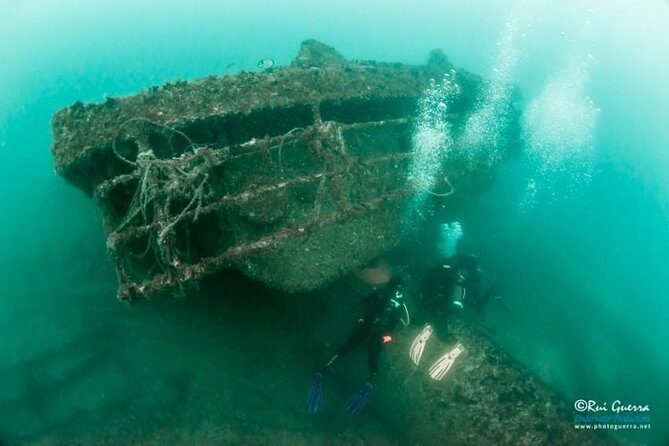 Double Dive the Fantastic Ocean Revival Park - Exploring the Ocean Revival Park: An In-Depth Look