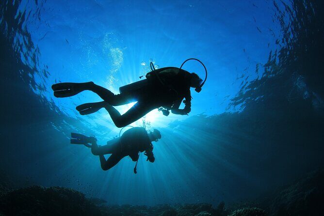 Double Diving Adventure Exploration for Certified Divers - The Itinerary and Experience Breakdown