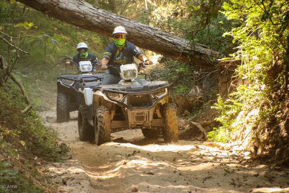 Double or Single Rider ATV Jungle Tour - Additional Recommendations