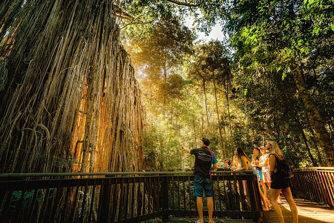 Double Pack-Ancient Rainforest and Waterfalls! - An In-Depth Look at the Itinerary