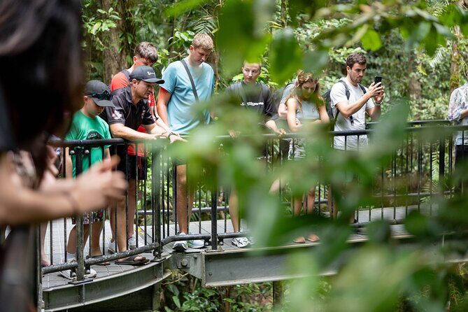 Double Pack-Ancient Rainforest and Waterfalls! - The Sum Up