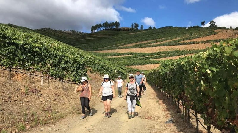 Douro: Adventure Ride with Walk and Local Lunch - Exploring the Douro: A Day of Nature, Adventure, and Flavors