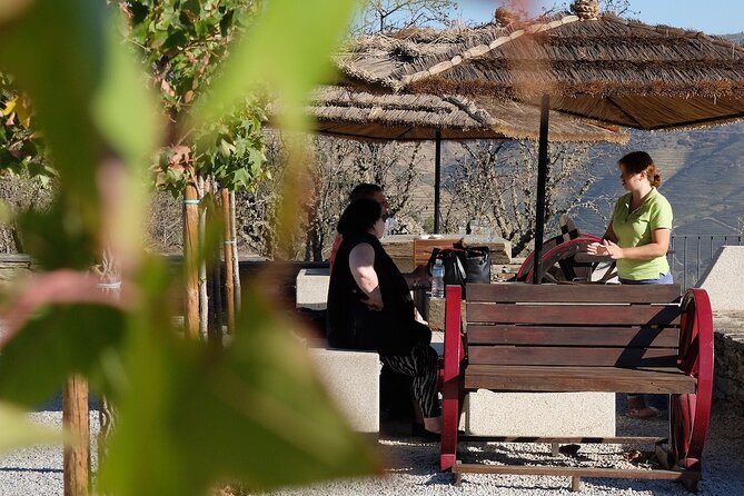 Douro Call - a Private Food and Wine Experience to the Douro Valley - Exploring Family-Run Wineries