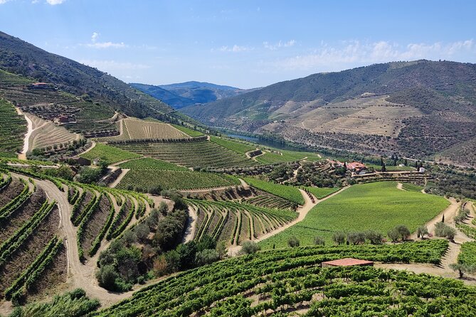 Douro Classic Sightseeing Full-Day Private Tour - Experience Highlights