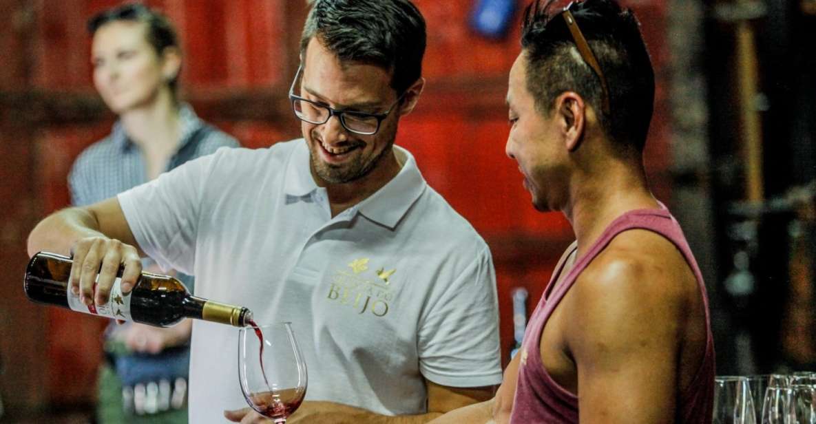 Douro: Classic Wine Tasting With Guided Tour - Key Points