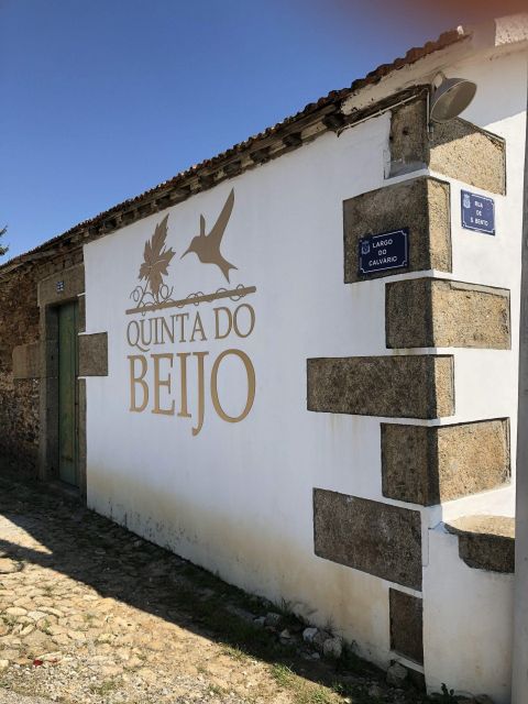 Douro: Classic Wine Tasting With Guided Tour - Itinerary Breakdown