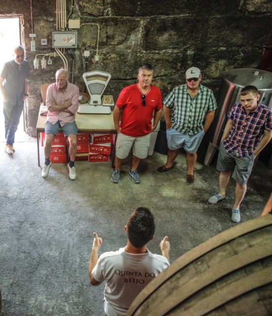 Douro: Classic Wine Tasting With Guided Tour - Customer Feedback