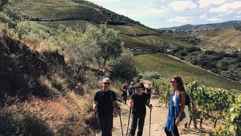 Douro: exclusive experience to Niepoort with paired lunch - An Authentic Look at Douro’s Jewel: Quinta de Nápoles  