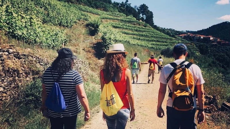Douro: exclusive experience to Niepoort with paired lunch - Inside the Winery: Understanding the Winemaking Process  