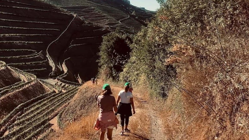 Douro: exclusive experience to Niepoort with paired lunch - Practical Details and Logistics  