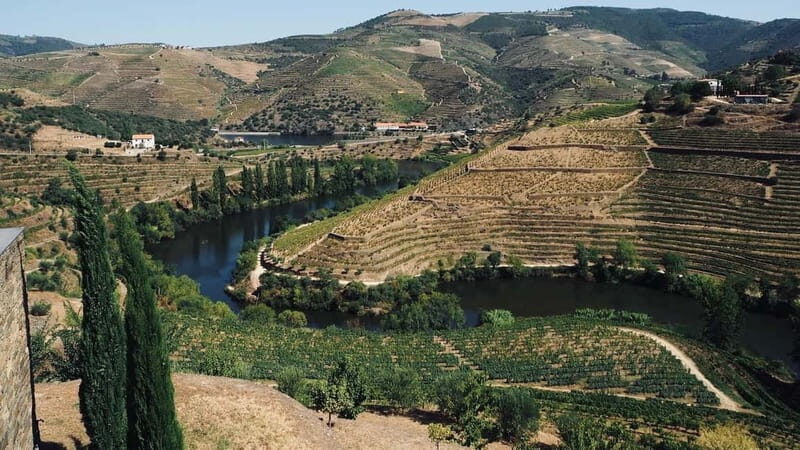Douro: exclusive experience to Niepoort with paired lunch - Who Should Consider This Experience?  