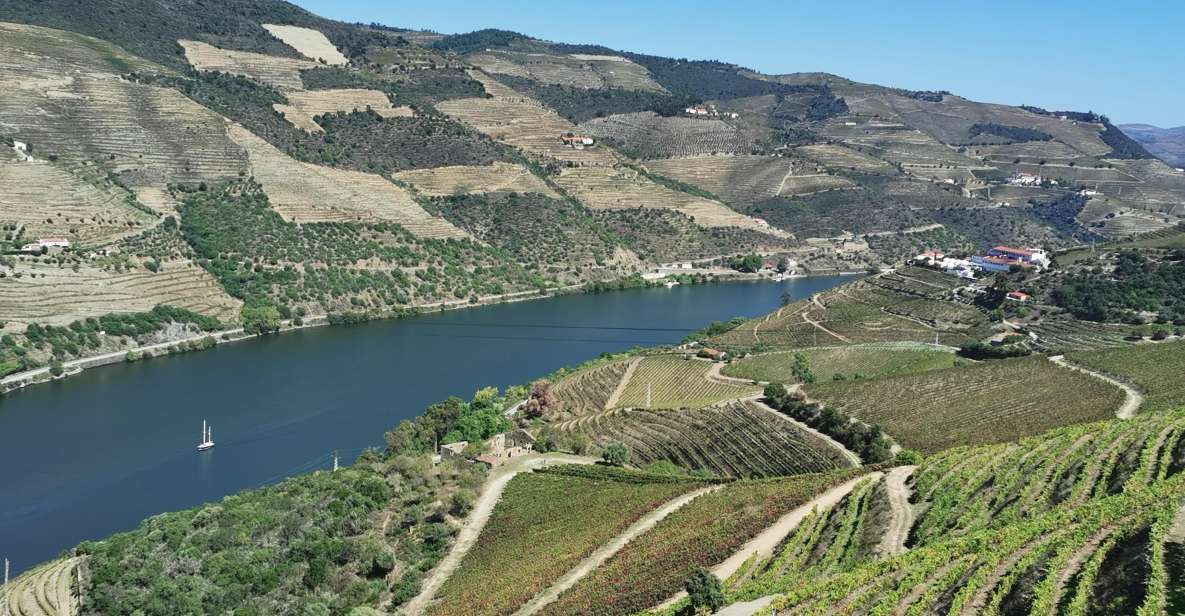 Douro Exclusive: The Full Tour! - Highlights