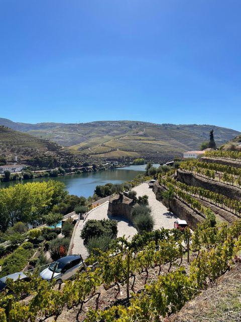 DOURO: FULL DAY DOURO VINEYARD TOUR IN A MERCEDES V-CLASS EXTENDED LONG - Key Points