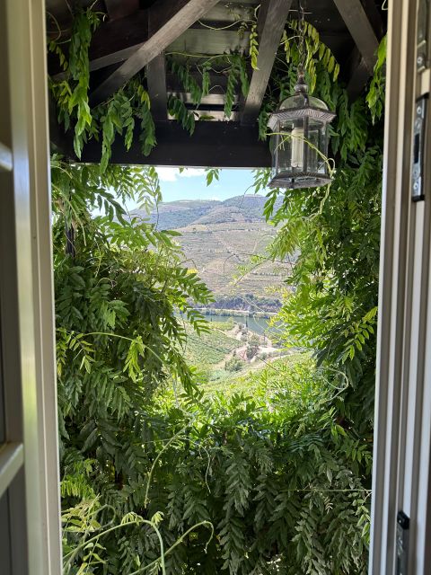 DOURO: FULL DAY DOURO VINEYARD TOUR IN A MERCEDES V-CLASS EXTENDED LONG - National Road 222 Walk