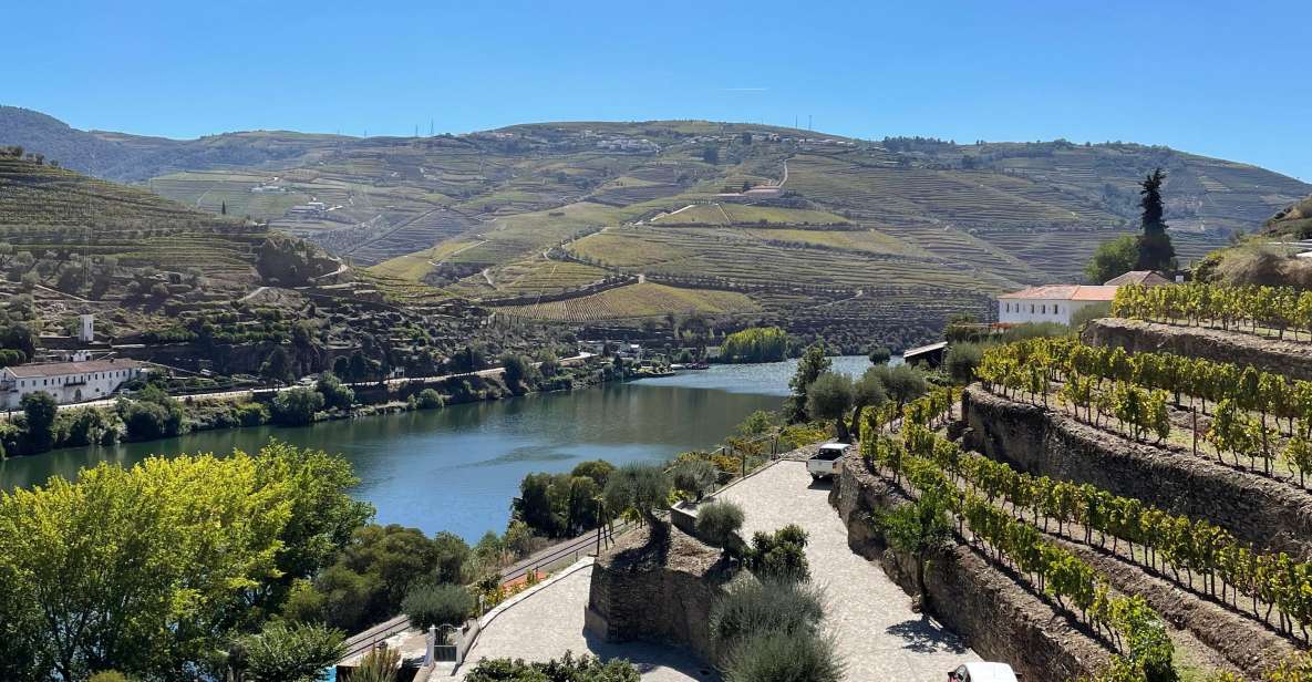 DOURO: FULL DAY DOURO VINEYARD TOUR IN A MERCEDES V-CLASS EXTENDED LONG - Boat Trip and Wine Tasting