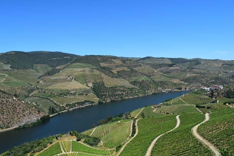 Douro offroad experience: visit to a winery and a picnic - Practical Tips for Travelers
