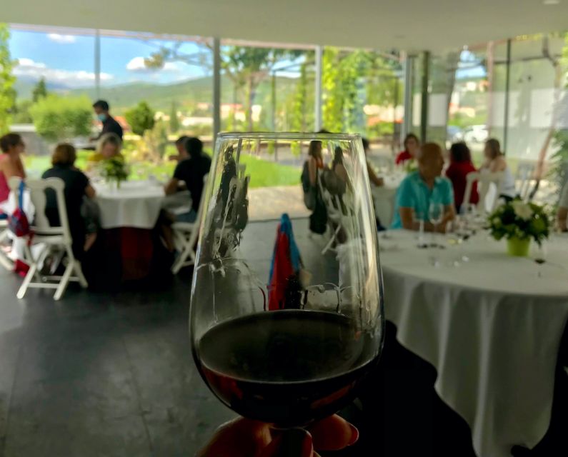 Douro - Pacheca: luxury walking with full lunch and wines - Introduction: Why This Tour Stands Out