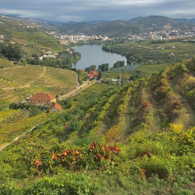 Douro - Pacheca: luxury walking with full lunch and wines - What Makes This Tour Special