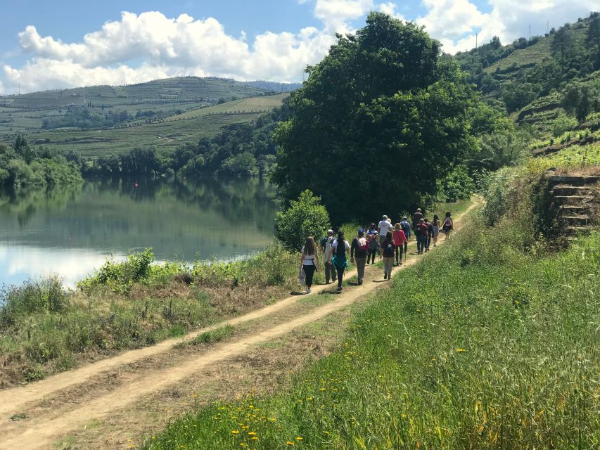 Douro - Pacheca: luxury walking with full lunch and wines - Who Will Love This Experience?