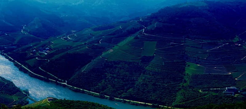 DOURO PREMIUM - Who Will Love This Tour?