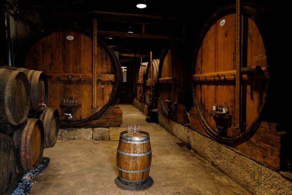 Douro: Premium Wine Tasting and Tapas Tour - Tapas and Pairings