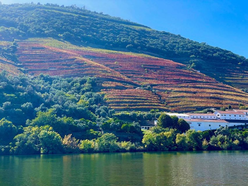 Douro River Private Cruise - Frequently Asked Questions