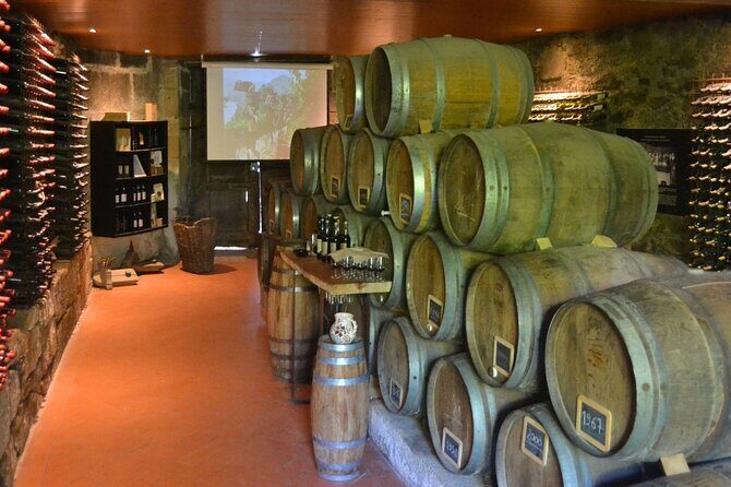 Douro Three Winery Small Group Tour with Lunch and Tastings - Discover the Douro Three Winery Small Group Tour with Lunch and Tastings