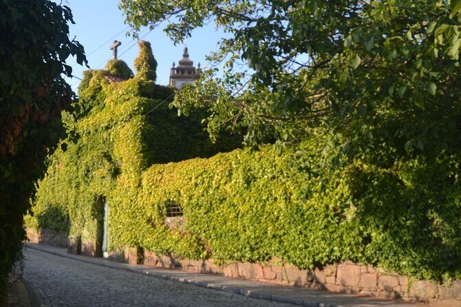 Douro Three Winery Small Group Tour with Lunch and Tastings - An In-Depth Look at the Douro Valley Tour