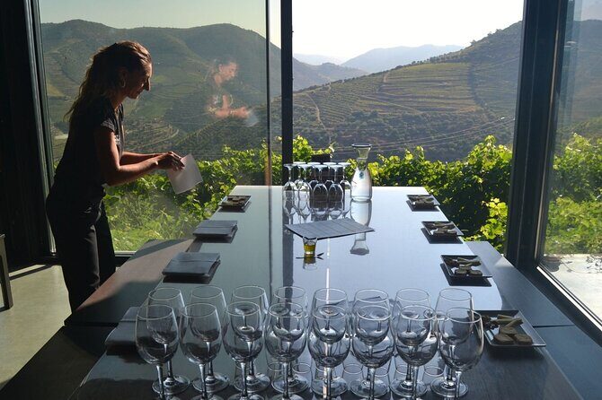 Douro Three Winery Small Group Tour with Lunch and Tastings - Who Should Book This Tour?