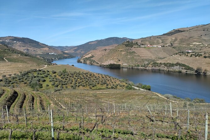 Douro Tour With River Cruise, 2 Wine Estates & Lunch, From Porto - Private and Personalized