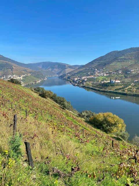 Douro - tour with train, walking, picnic and wines - Final Thoughts