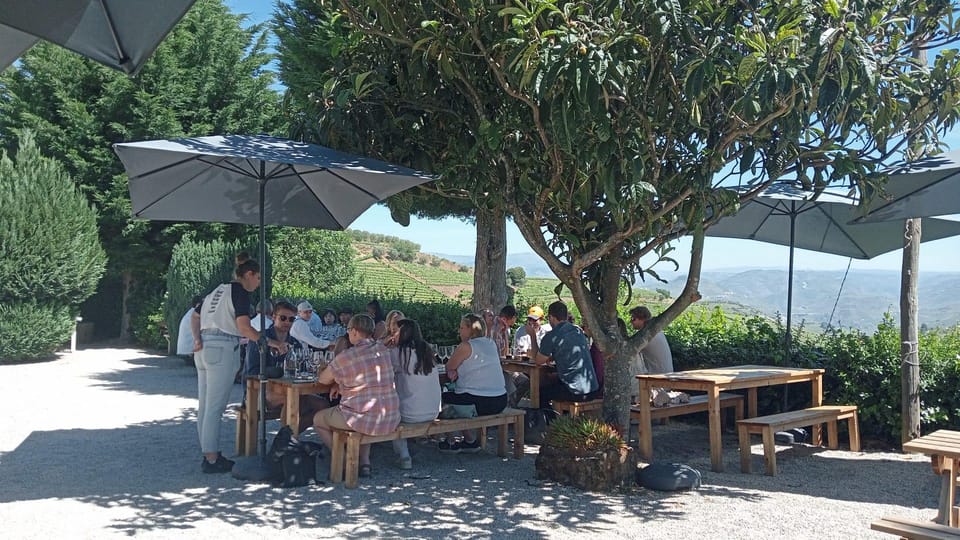 Douro Tour with Wine Tasting and Visit to Lamego and Pinhão - Key Points