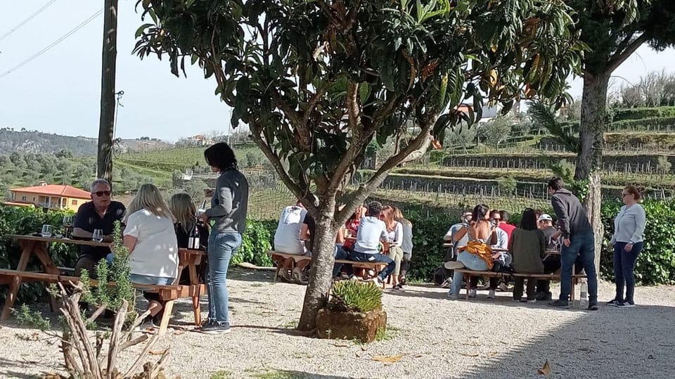 Douro Tour with Wine Tasting and Visit to Lamego and Pinhão - Frequently Asked Questions (FAQs)