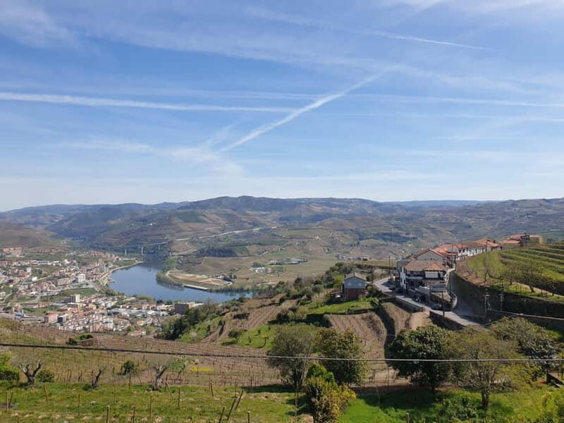 Douro: Traditional Harvest Lunch at Quinta de Sobre a Fonte - Exploring the Experience in Detail