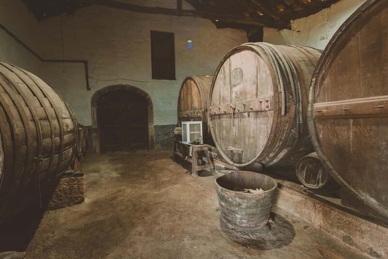 Douro: Traditional Harvest Lunch at Quinta de Sobre a Fonte - Final Thoughts