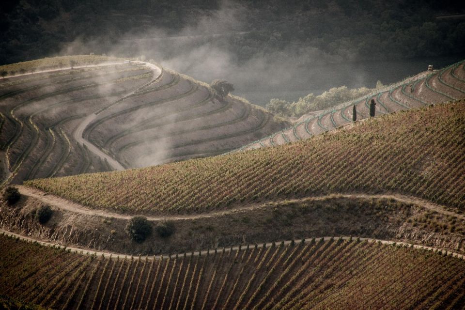 Douro Valley: 1 Day Landscape Photo Tour - Itinerary for the Photo Tour