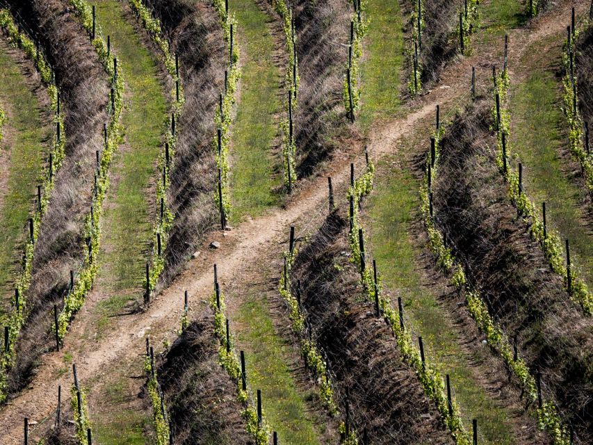 Douro Valley: 1 Day Landscape Photo Tour - Panoramic Viewpoint at São Leonardo Da Galafura
