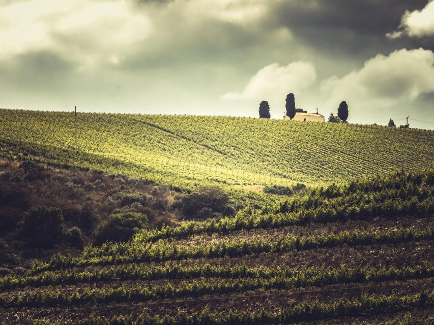 Douro Valley: 1 Day Landscape Photo Tour - Lunch Stop in Pinhão