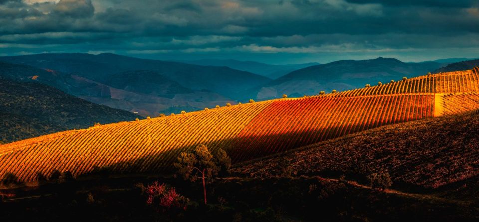 Douro Valley: 1 Day Landscape Photo Tour - Historic Village of São João Da Pesqueira