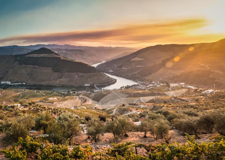 Douro Valley: 1 Day Landscape Photo Tour - Return Journey to Porto