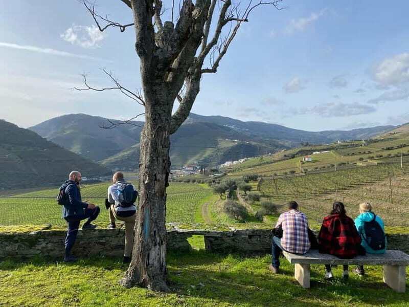 Douro valley: 10 km hike in the Valley - An In-Depth Look at the Douro Valley Hike Tour