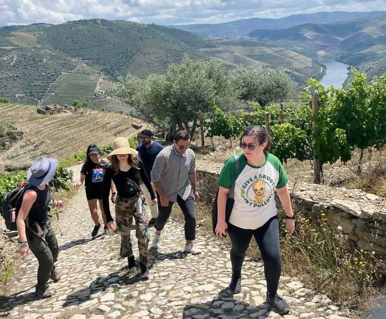 Douro valley: 10 km hike in the Valley - Final Thoughts: Who Will Appreciate This Tour?